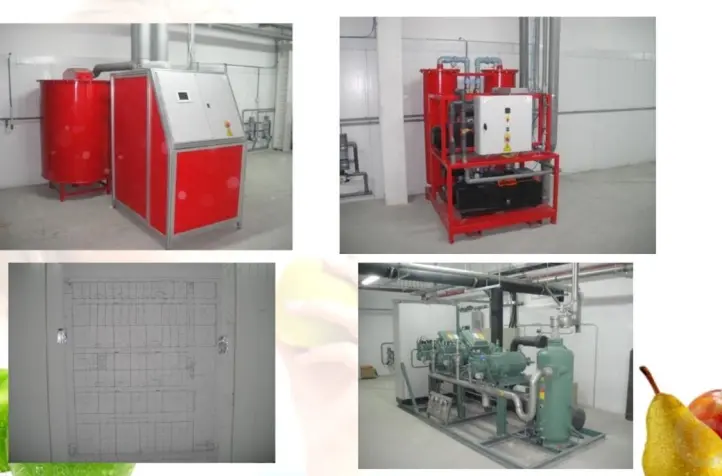 Largest warehouse for Apples + Vegetables, Potatoes, Onions, Beetroot, Carrots in Kiev, Ukraine.