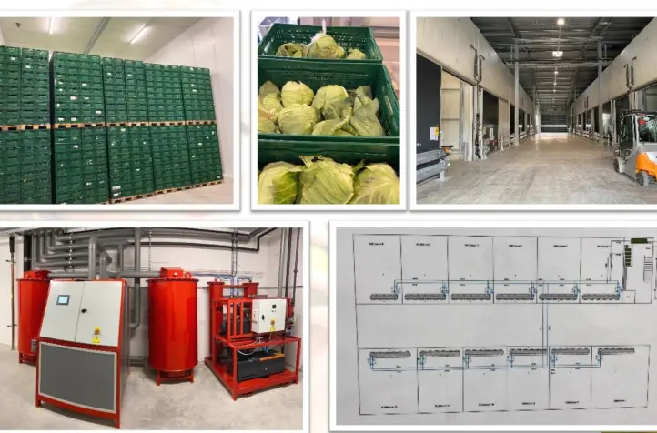 CA warehouse for CA storage of vegetable, cabbages, china cabbage, spitskool, in Germany