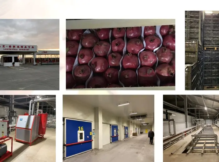 Modern CA facility for storing Pomegranate under CA conditions in Azerbeidjan.