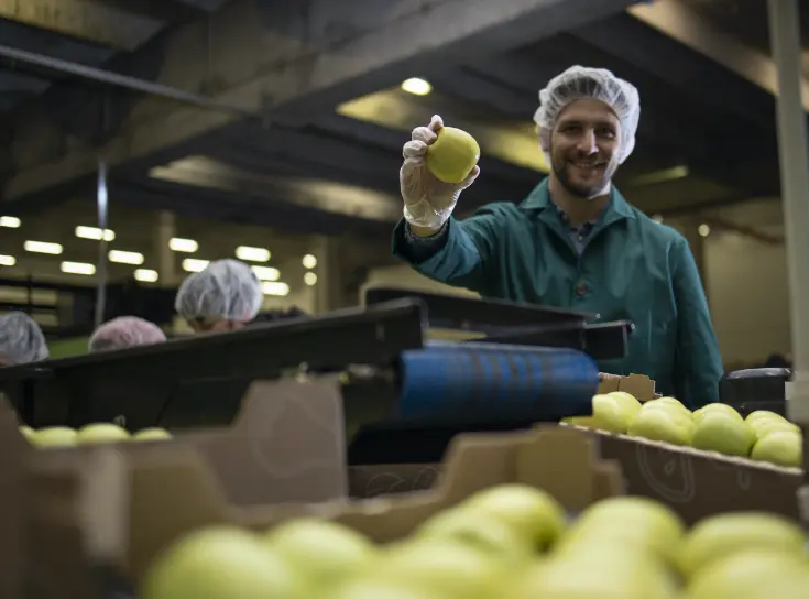 Ca opslag van verse groenten en fruit