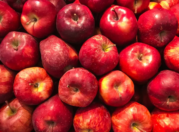 (D)CA bewaring appels