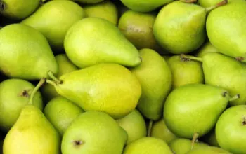 Pears