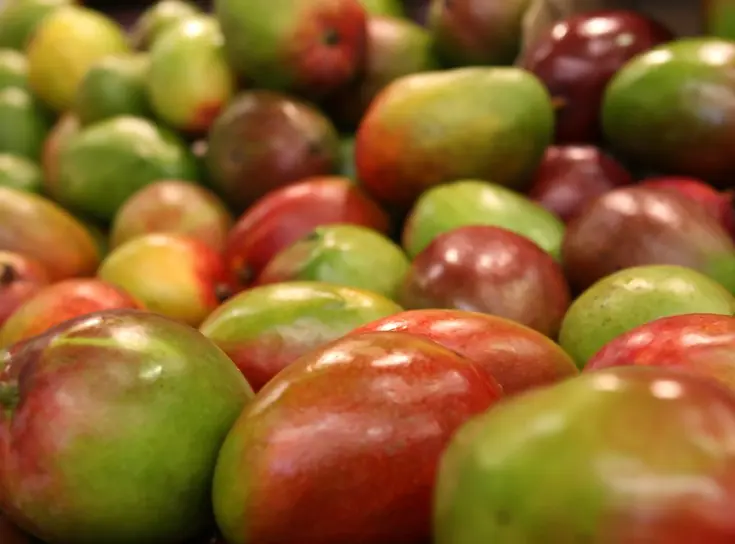 CA storage mango