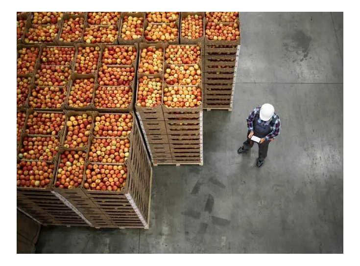 24/7 Monitoring en service voor kwaliteitsbehoud van groente en fruit