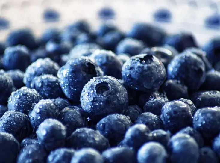 CA storage blue berries