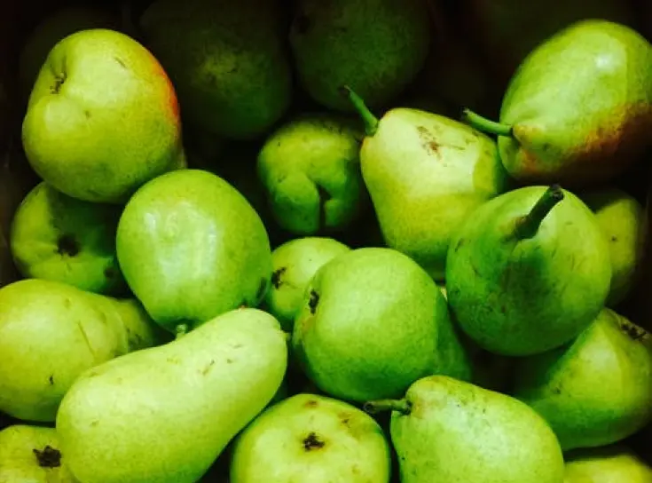 CA storage pears