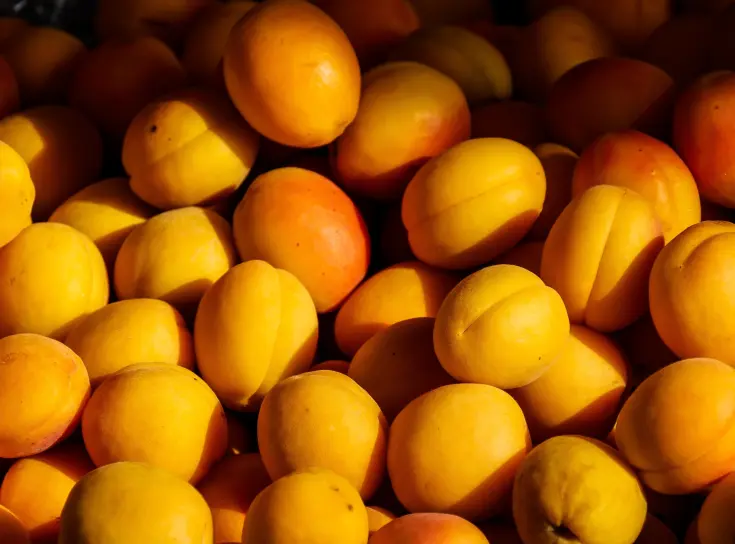 CA STORAGE PEACHES, APRICOTS AND PLUMS