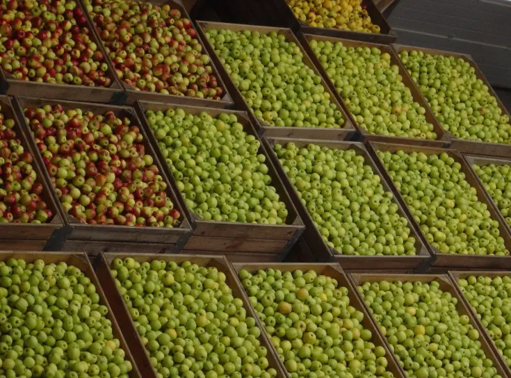 THE RIGHT (CA) STORAGE TECHNOLOGY FOR EVERY PRODUCT