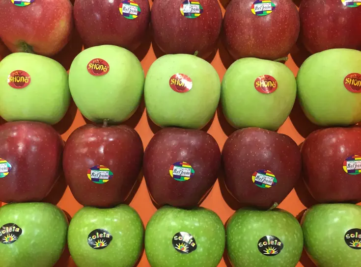 COMPLETE PACKAGE DCS AUTOMATIC: