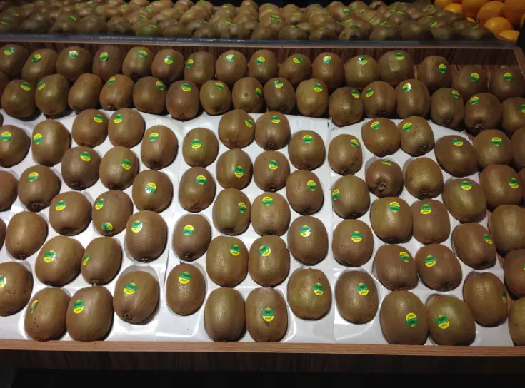 Storex Catalytic Ethylene Converter Advantages: