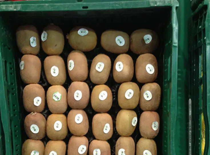 C2H4 – Ethylene removal during fruit storage