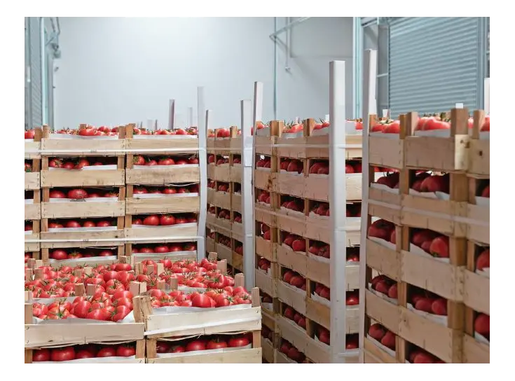 CA FRUITBEWARING VOOR SMAAK EN KWALITEIT BEHOUD